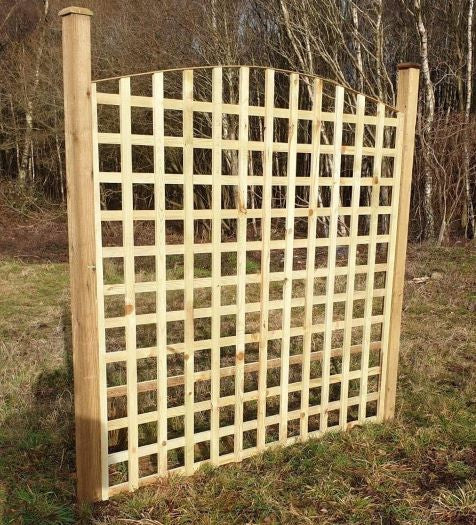 Domed Trellis