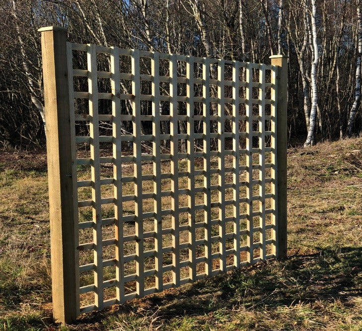 heavy duty wood trellis Heavy Duty Trellis